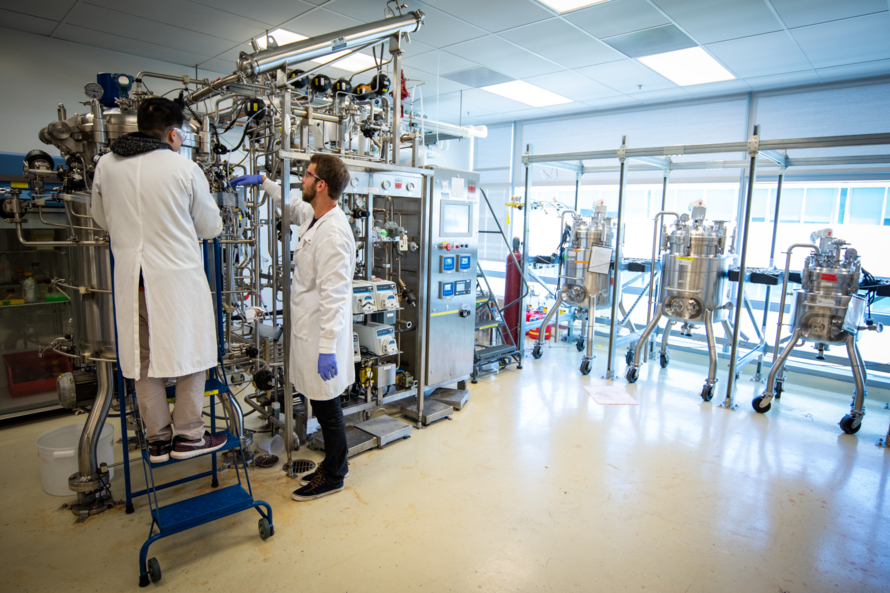 Two researchers working on a bioreactor in a lab.