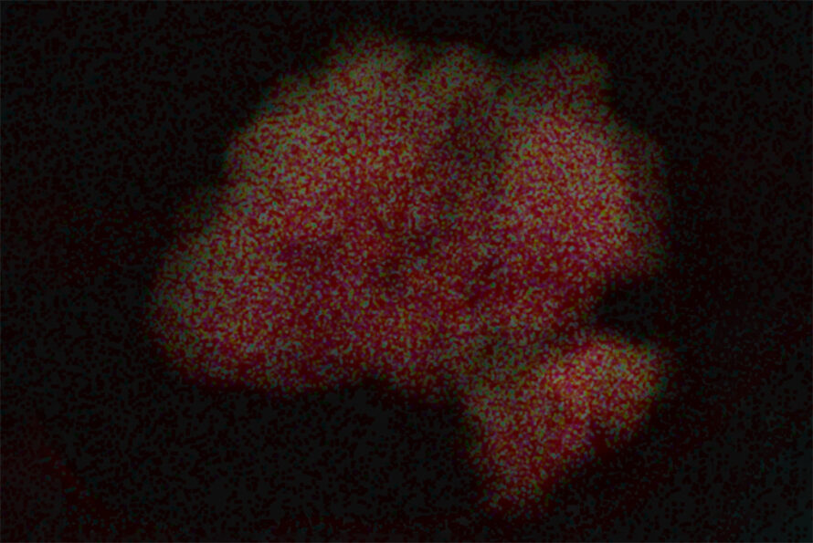 Elemental mapping of Pd/COF confirming uniform Pd distribution.