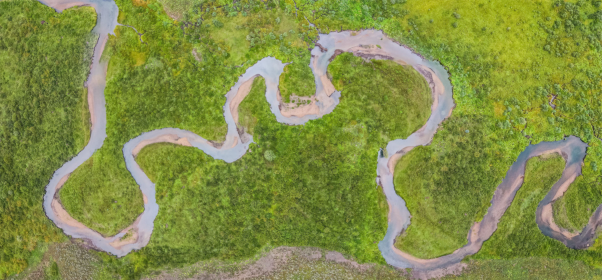 Birdseye view of a winding river ecosystem.