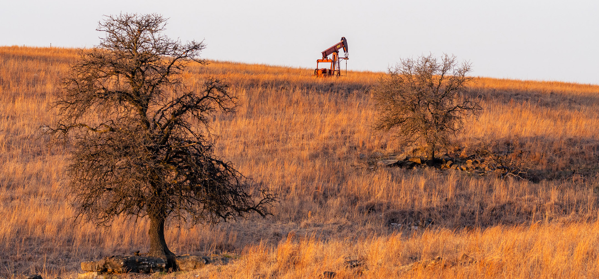 An orphaned well on a dry, grassy field. Two trees are visible in the foreground.